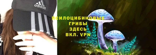 дживик Арсеньев