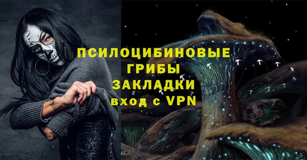 сатива Алзамай