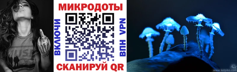 Галлюциногенные грибы Psilocybine cubensis Купить где Сунжа