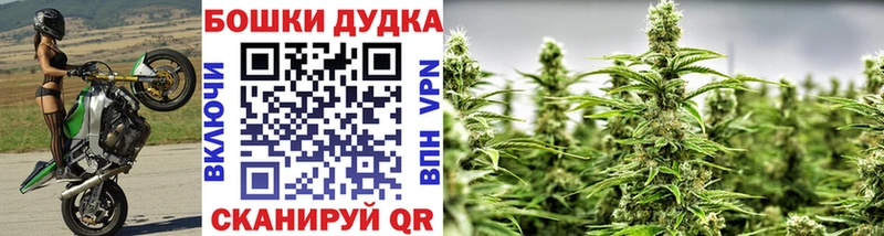 Канабис гибрид  Купить где  Сунжа 